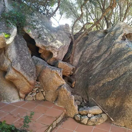 Casa Degli Olivastri Hébergement de vacances Olbia